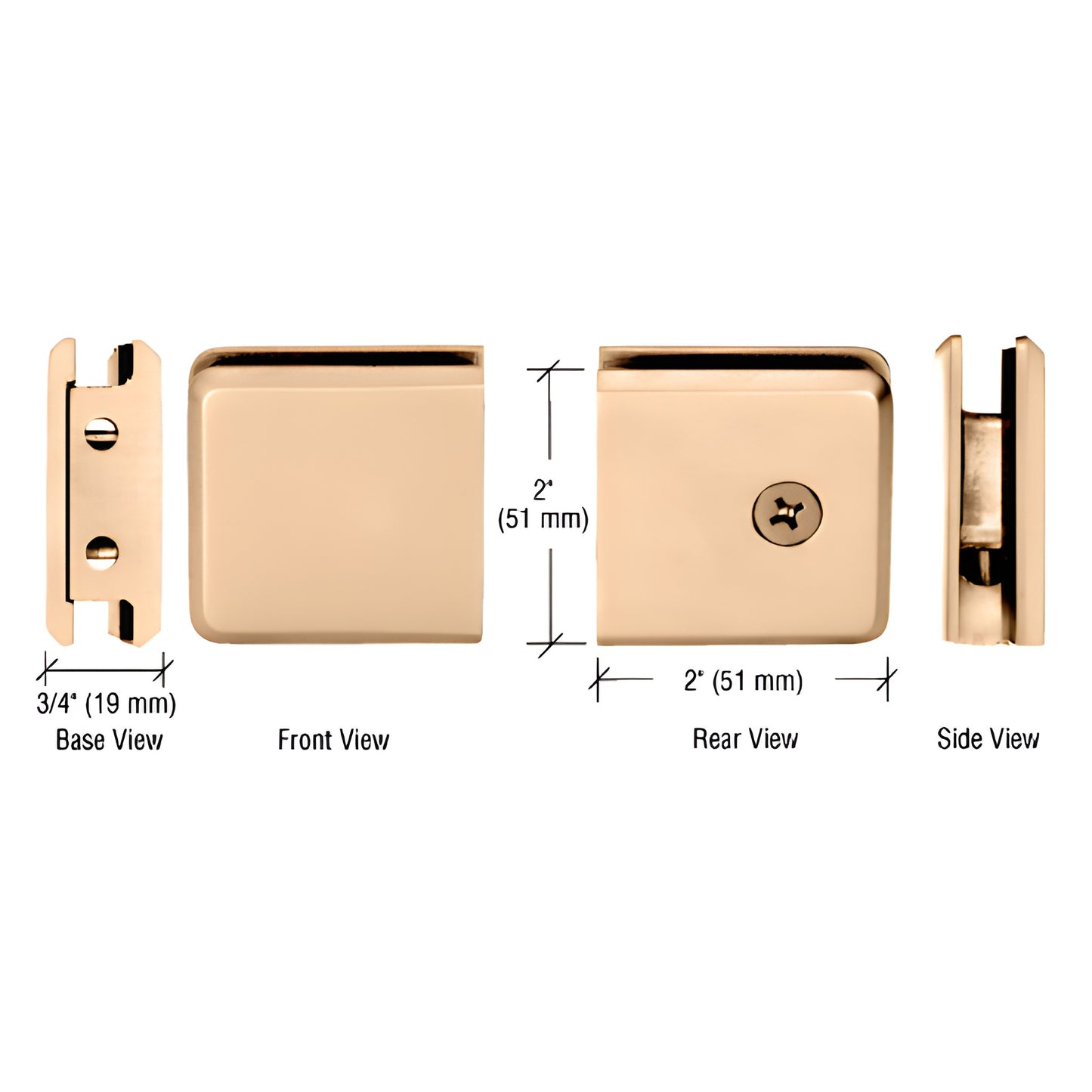 Beveled unlacquered brass wall-mount clamp for 10-12mm glass, 2x2 in square face - SKU BGCU1ULBR