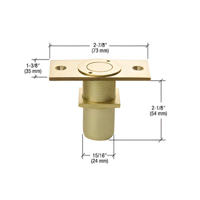 CRL Polished Brass Dust Proof Keeper Non-Locking