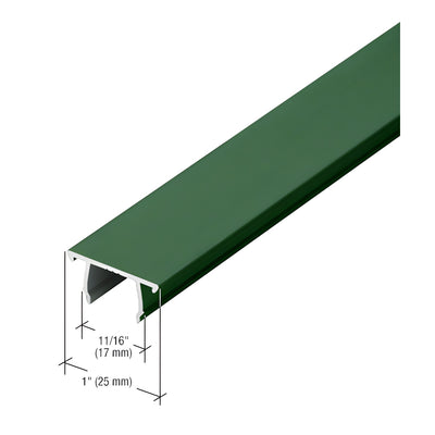 CRL-U.S. Aluminum 1/4" Pocket Insert, Custom Anodized - 21'-2"