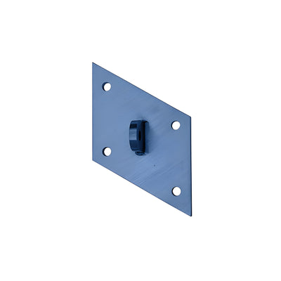 CRL Custom Color Custom Mounting Plate