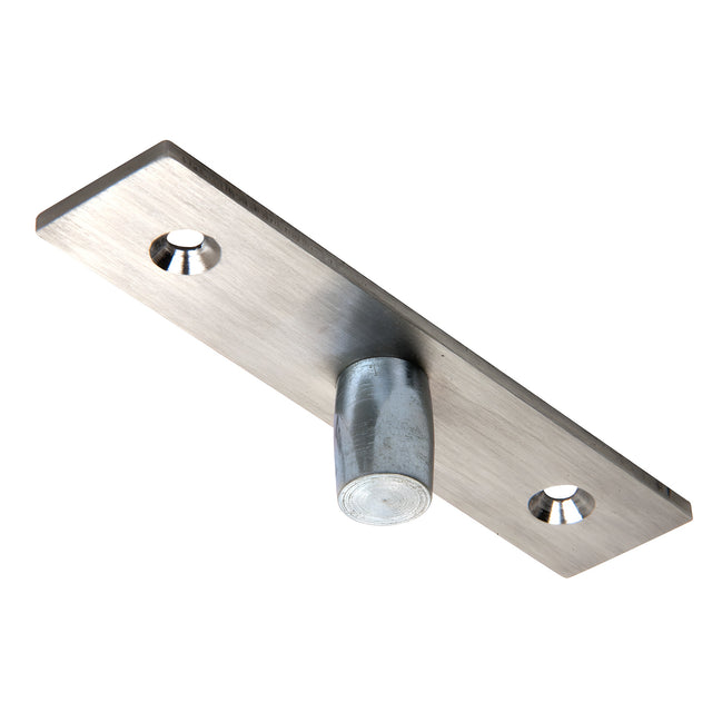CRL Brushed Stainless Top Center-Hung Free Swing Pivot