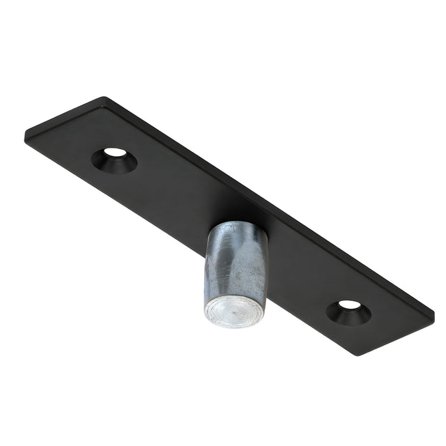 CRL Matte Black Top Center-Hung Free Swing Pivot