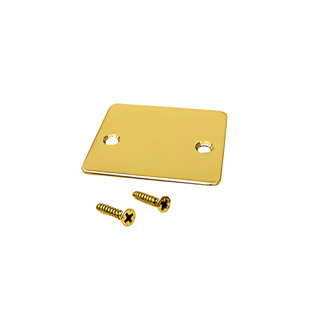 CRL Polished Brass End Cap with Screws