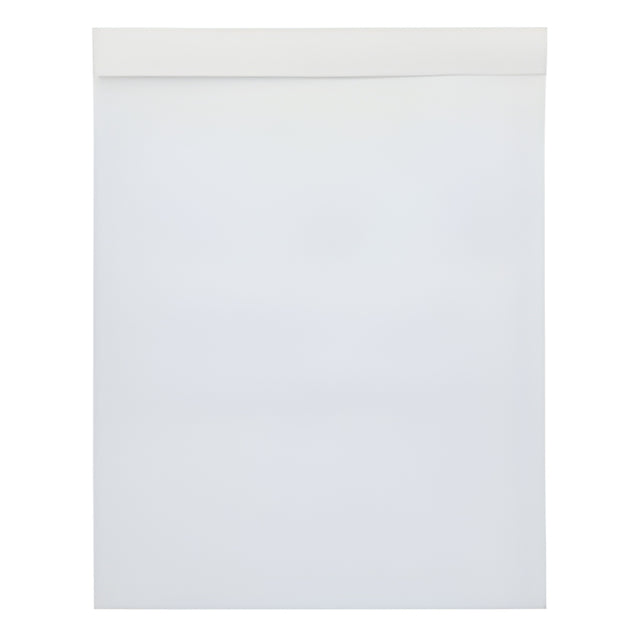 White Bubble Mailer, #6, 12.5" x 19" – 50/Case
