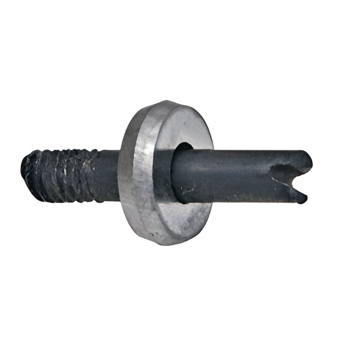 000_TC60H_1720.jpg