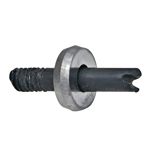 000_TC60H_1720.jpg