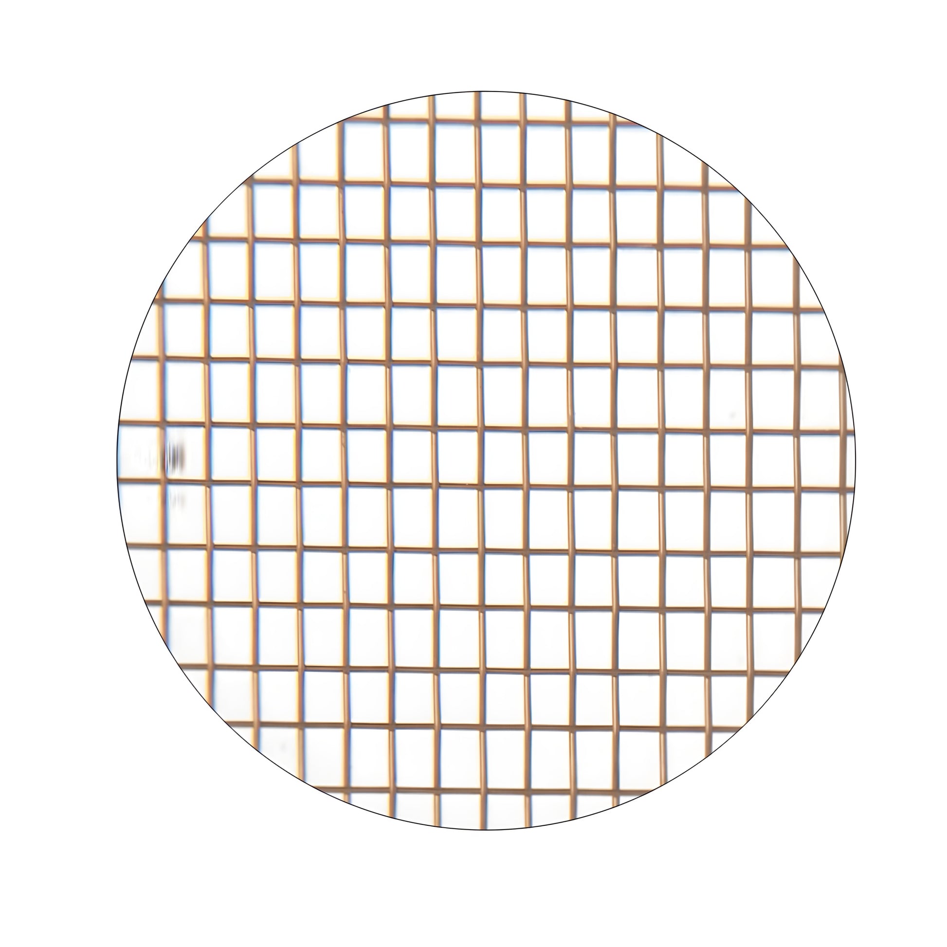 001_BRZW_Mesh.jpg