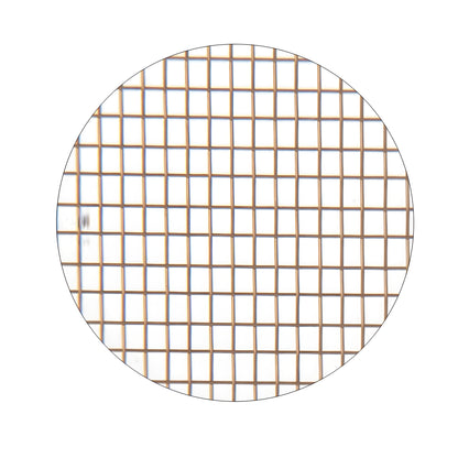 001_BRZW_Mesh.jpg