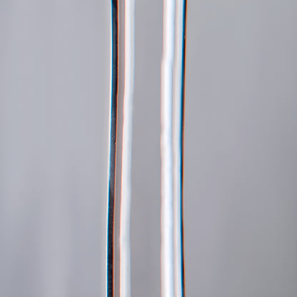 002_WCS5_2.jpg