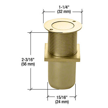 A polished brass non-locking dust proof keeper shown with technical dimension lines indicating its size.