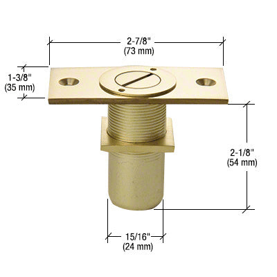 A polished brass dust proof keeper with a locking mechanism shown with technical dimension lines.