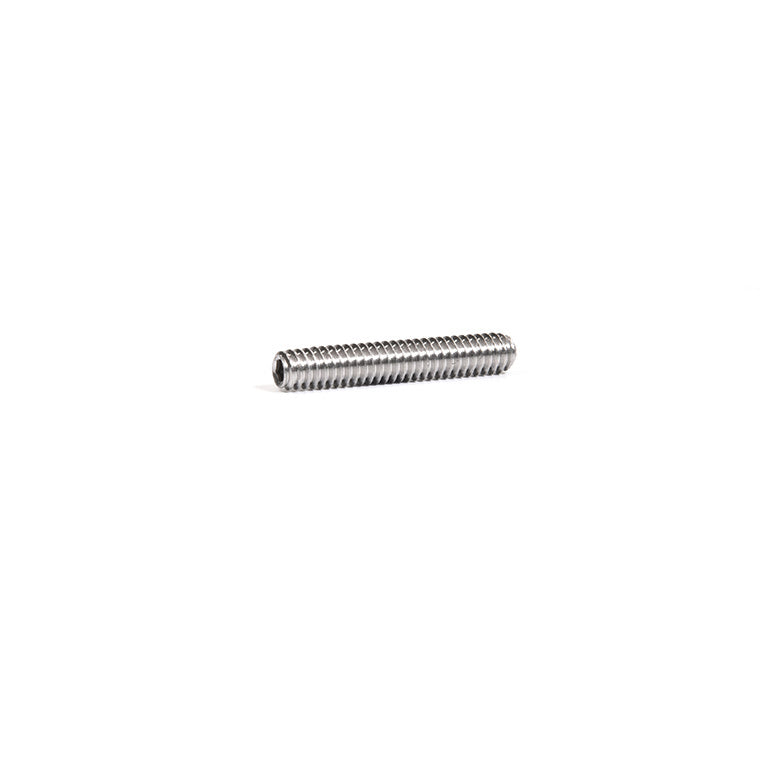 A single headless stainless steel Allen screw with 1/4-20 threading.