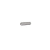 A single headless stainless steel Allen screw with a 1/4-20 thread size.