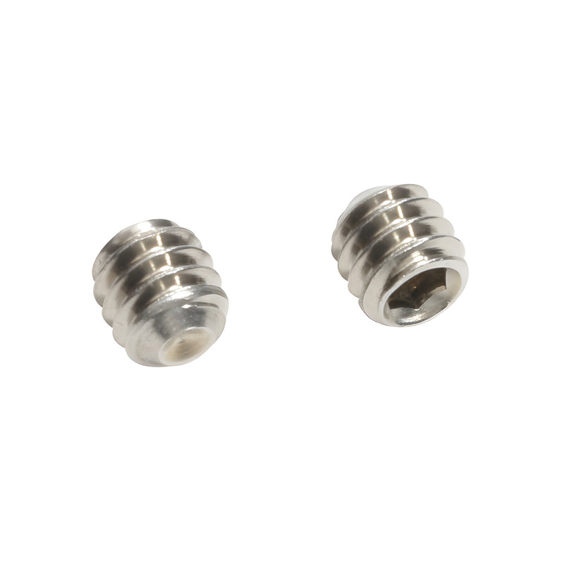 Two stainless steel cup point socket set screws with 1/4-20 UNC threads are shown against a white background.