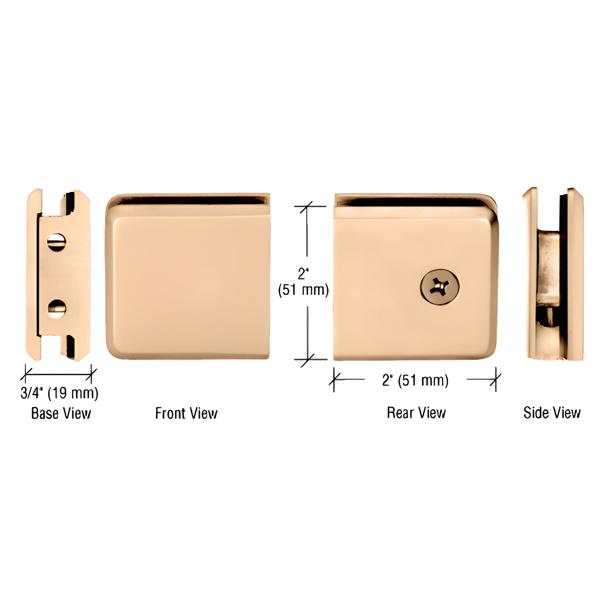 Beveled unlacquered brass wall-mount clamp for 10-12mm glass, 2x2 in square face - SKU BGCU1ULBR