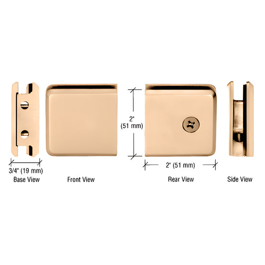 Beveled unlacquered brass wall-mount clamp for 10-12mm glass, 2x2 in square face - SKU BGCU1ULBR