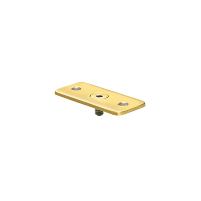 CRL Polished Brass Optional Flat Hand Rail adaptor Plate for Hand Railing Bracket