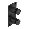A matte black 316 stainless steel glass rail standoff fitting with an integrated mounting plate.