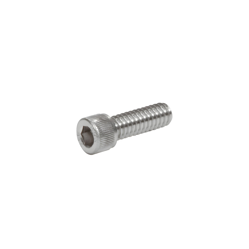 A single stainless steel socket head cap screw shown at an angle.