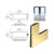 CRL 5-1/2" Polished Brass Wide Stile Clad Full Framed Door