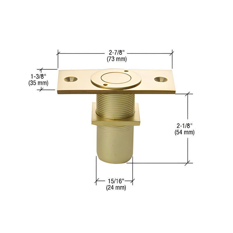 A polished brass non-locking dust proof keeper shown with technical dimension lines indicating its size.
