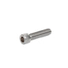 A single stainless steel socket head cap screw shown at an angle.