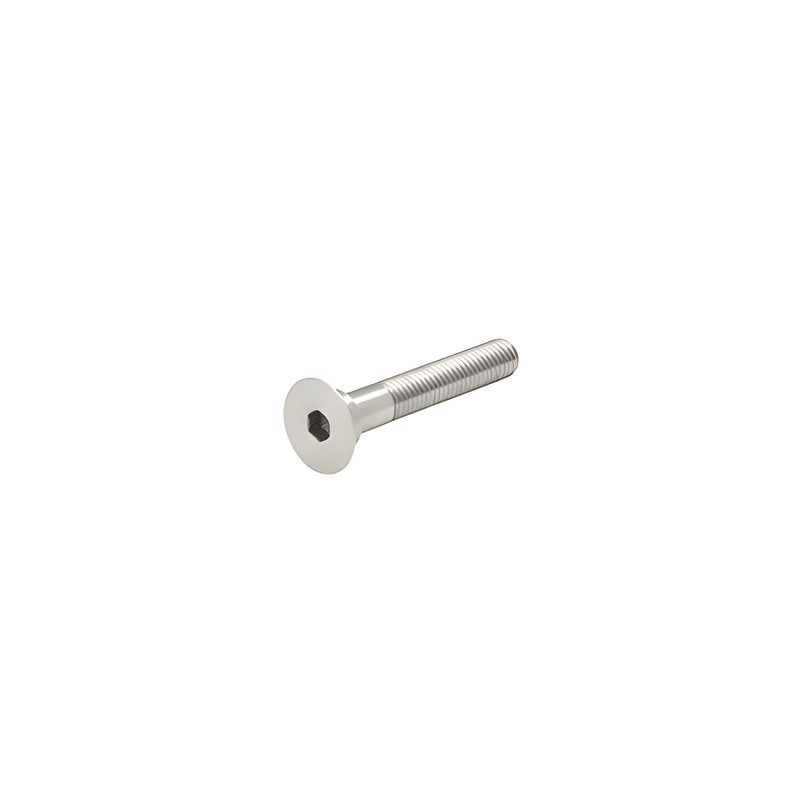 A 2-1/2 inch long brushed stainless steel bolt with a flat head and hexagonal drive for RRF10BS glass fittings.