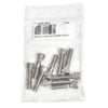 A plastic bag containing ten stainless steel socket head cap screws.