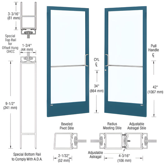 DE22471 custom narrow-stile commercial entrance door with blue Kynar frame, large glass panel, ADA bottom rail and pull handl