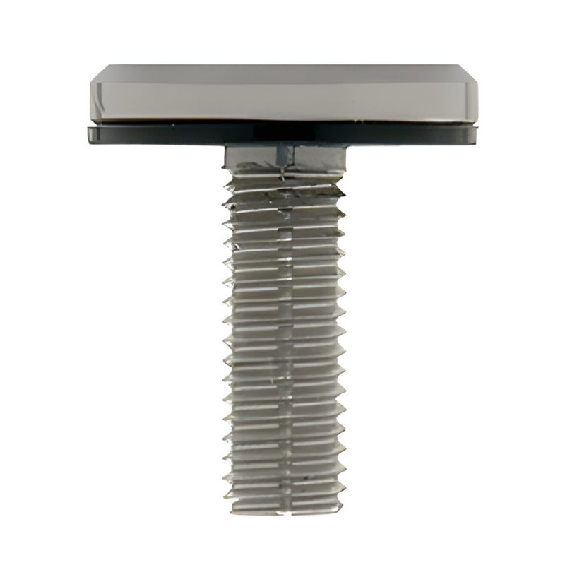 LS521BS brushed stainless steel Laguna surface-mount pivot door replacement screw (Alloy 316)