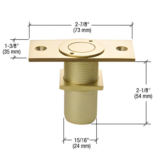 AMR208BR polished brass dustproof keeper and mounting plate for door rail floor locks, non-locking, accepts 5/8" plunger