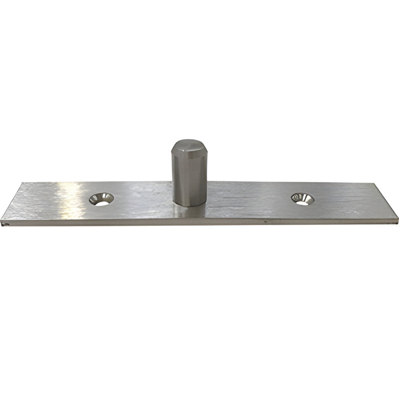 CRL H100EP1V top pivot plate with 12mm pivot pin, stainless finish, for H100E20 top patch fitting.