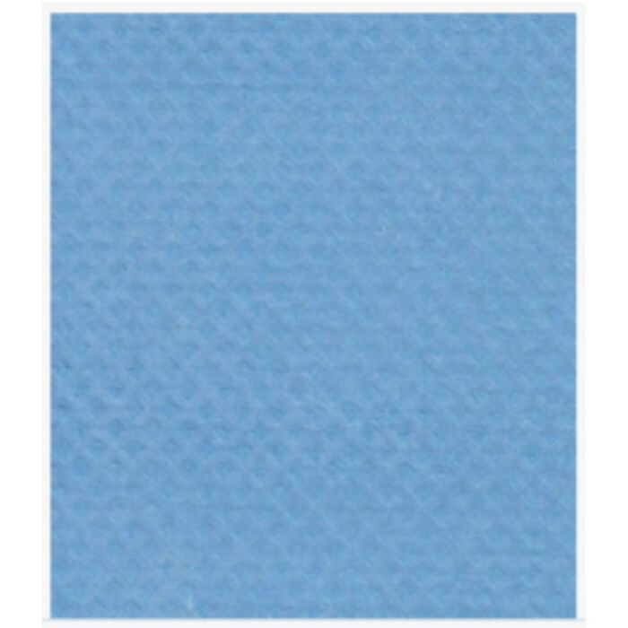 All-Purpose Sponge Cloth, Blue, 12" x 10"- 5 / Bag