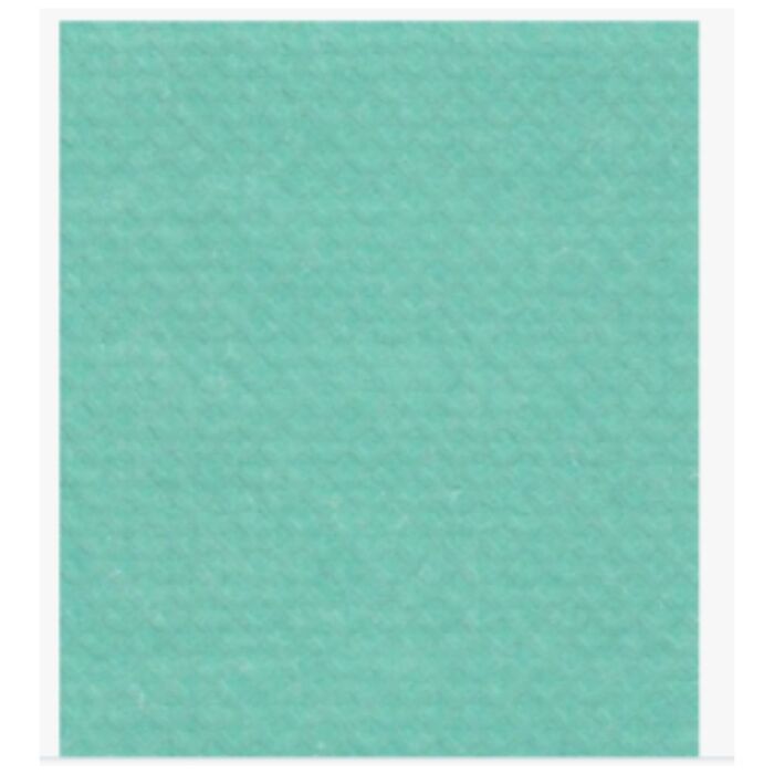 All-Purpose Sponge Cloth, Green, 12" x 10"- 5 / Bag