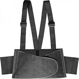 Back Support Belt, Large- 1 Each