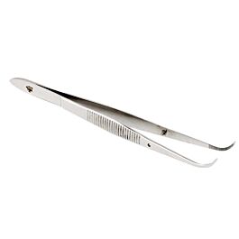 Curved Splinter Forceps, 11.5cm (4.5")- 1 Each