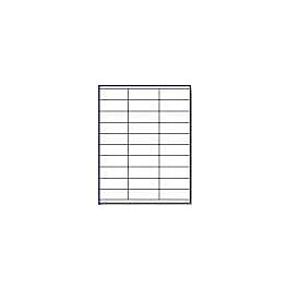 Laser Printer Label Sheets, 1" x 2.83"- 30 Labels/ Sheet x 100 Sheets