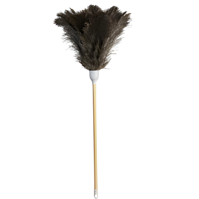 Ostrich Feather Duster, 26" – 10/Case