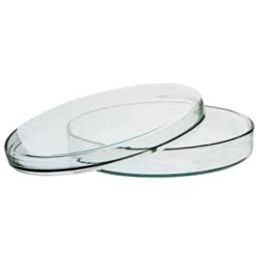 Petri Dish- 360 / Box