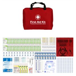 Type 2, Large Basic First Aid Kits (Z1220-17), Nylon Pack- 1 Each