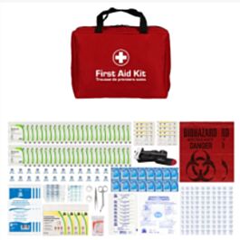 Type 2, Large Basic First Aid Kits (Z1220-24), Nylon Pack- 1 Each