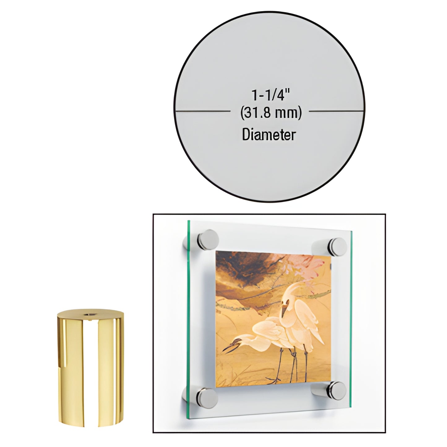 Polished brass 1-1/4" round standoff, 2" length for glass signage; SKU S0B1142BR