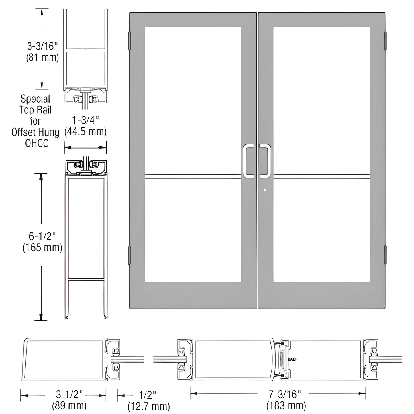 SR42411 medium-stile clear anodized aluminum double entrance door with full glass panels and center pull handles.