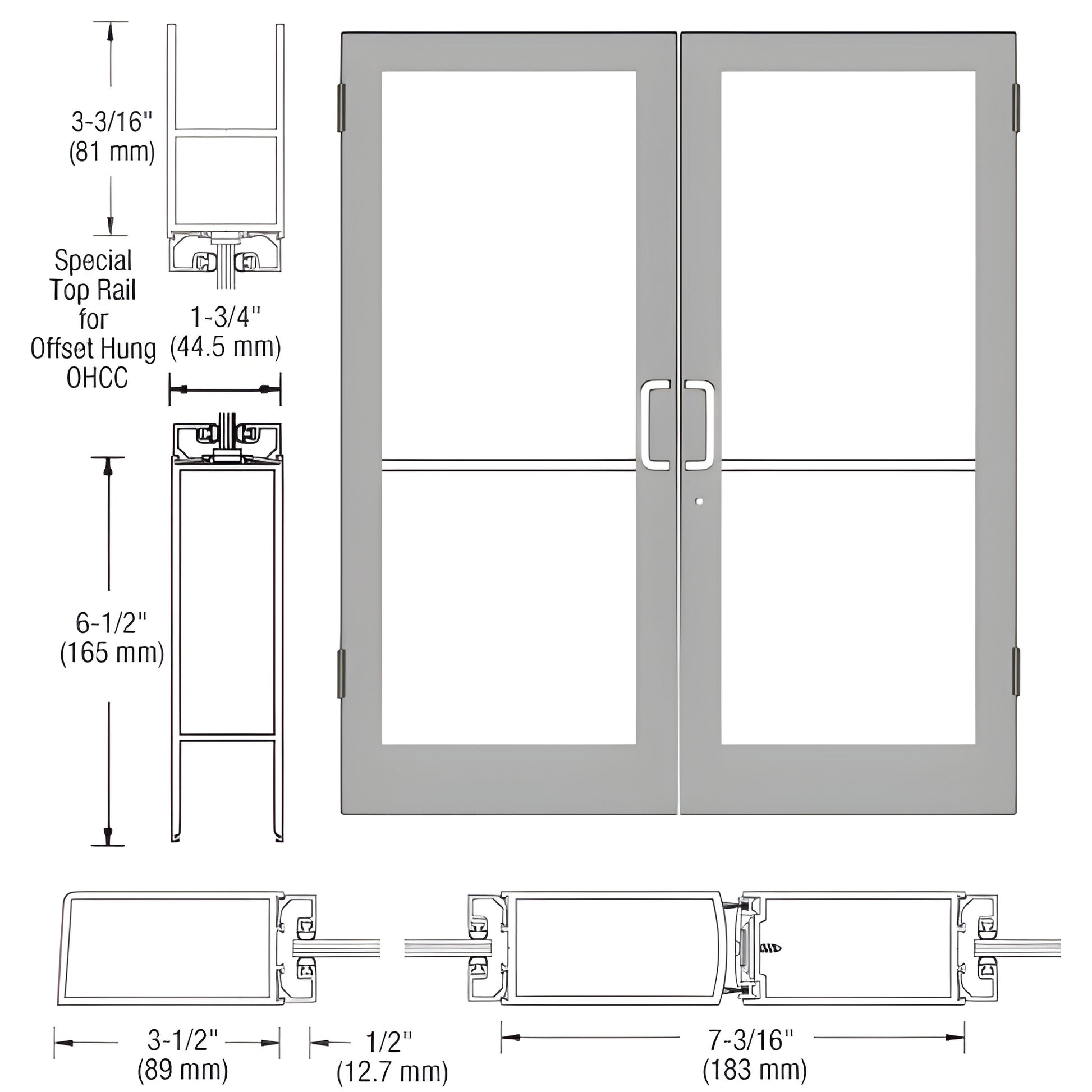 SR42411 medium-stile clear anodized aluminum double entrance door with full glass panels and center pull handles.