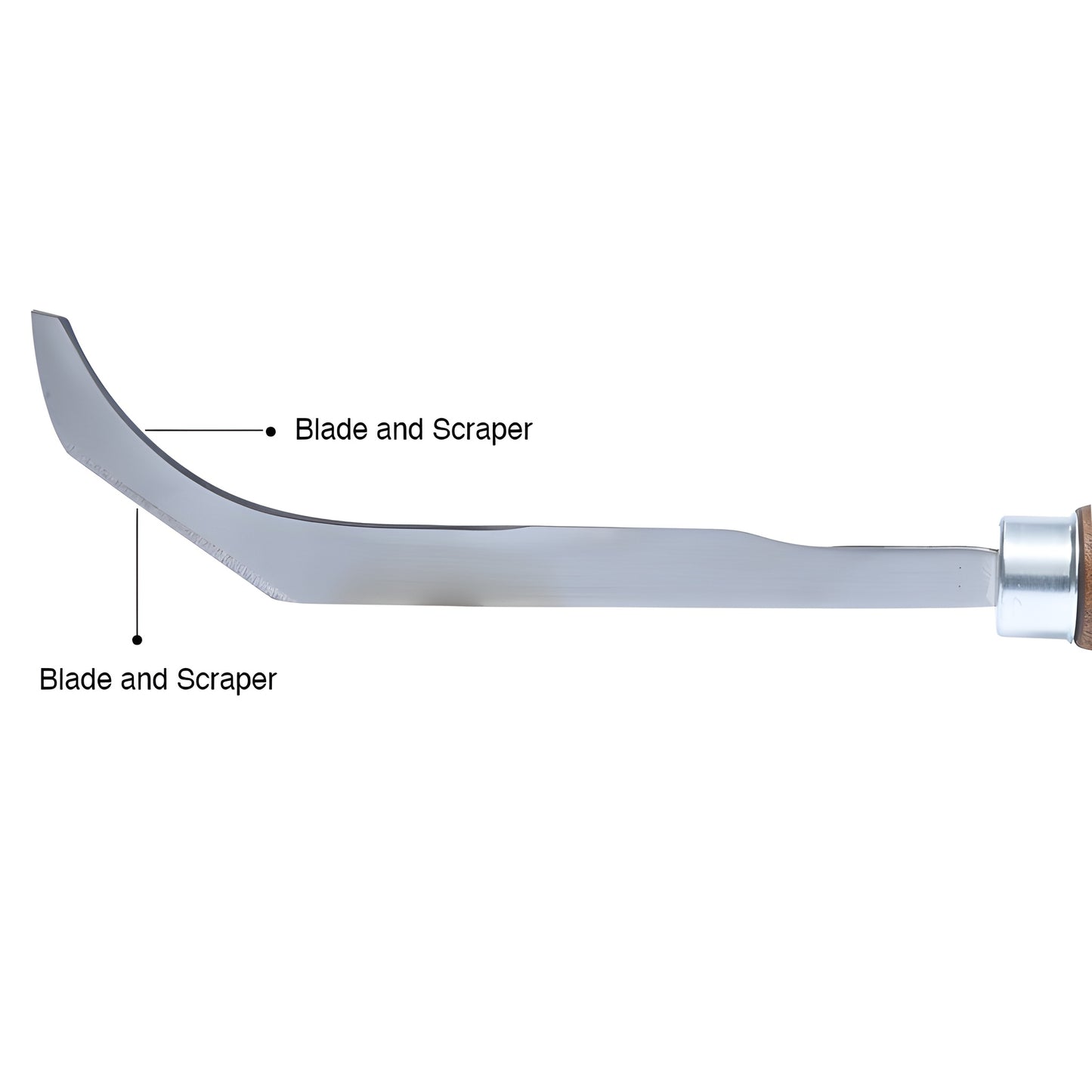 BK125 banana knife - 9-1/2 in curved steel blade, hardwood handle for dash urethane removal