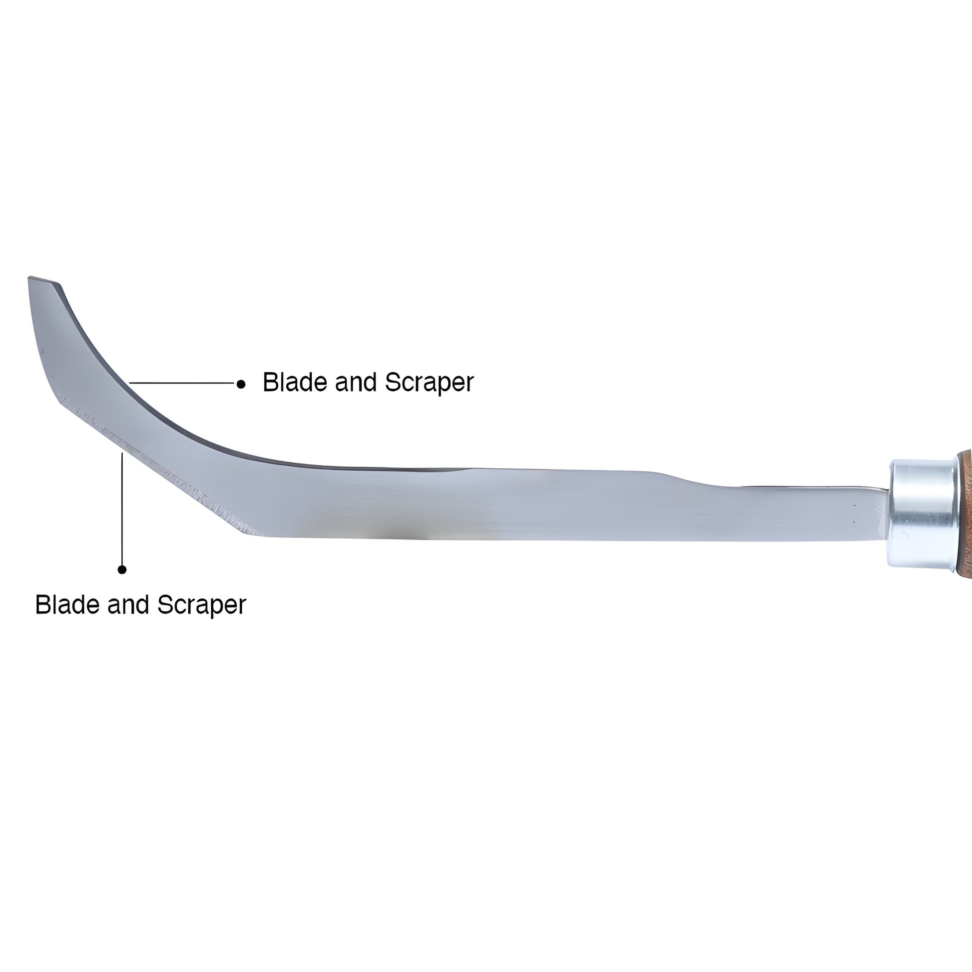 BK125 banana knife - 9-1/2 in curved steel blade, hardwood handle for dash urethane removal