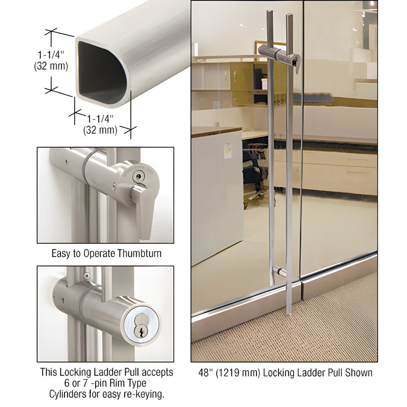 DLLPA60BS brushed stainless D-shape locking ladder pull for glass doors; floor-locking with thumbturn and rim cylinder.
