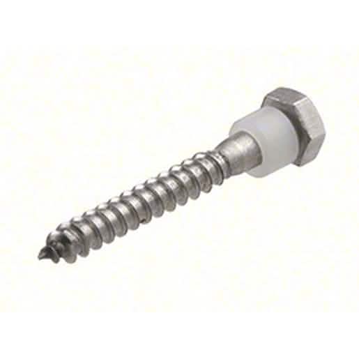 Close-up of CRL 2" x 1/4" Lag Screw, durable steel for secure construction projects.