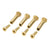 CRL Brite Gold Sex Bolts - Mounting Screws (Chicago Screws)