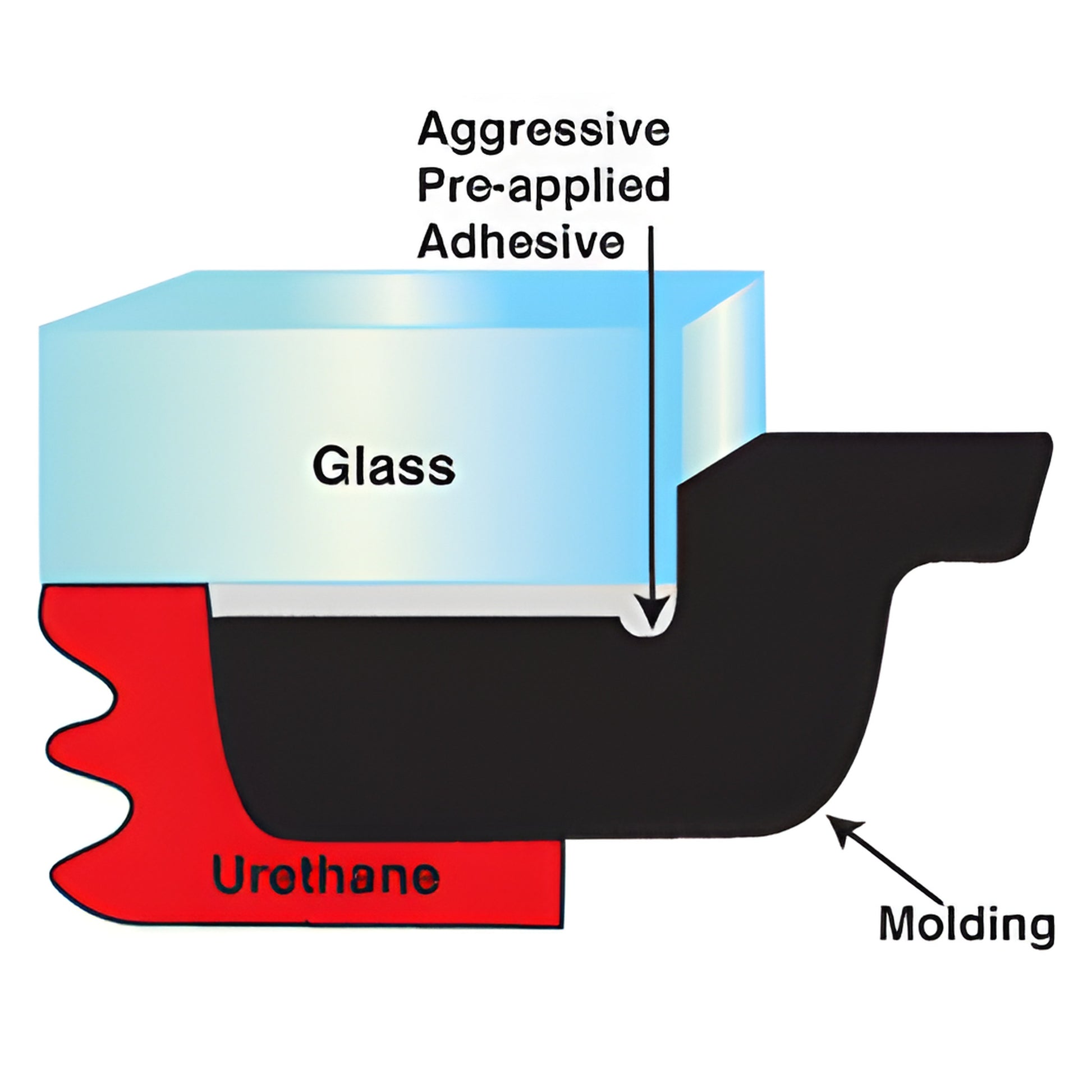 Diagram: black closed-cell underside molding SKU 409T202 with red urethane backing, pre-applied adhesive, and glass.